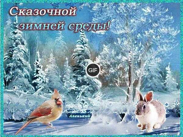 Гифки среда зимняя прикольные