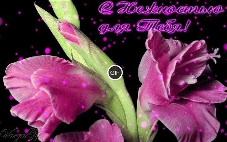 Анимация цветы распускаются скачать