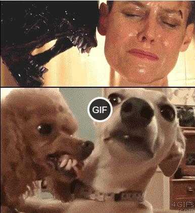 Гифки прикольные