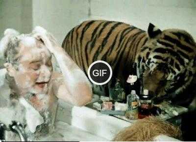 Гифки из фильма полосатый рейс