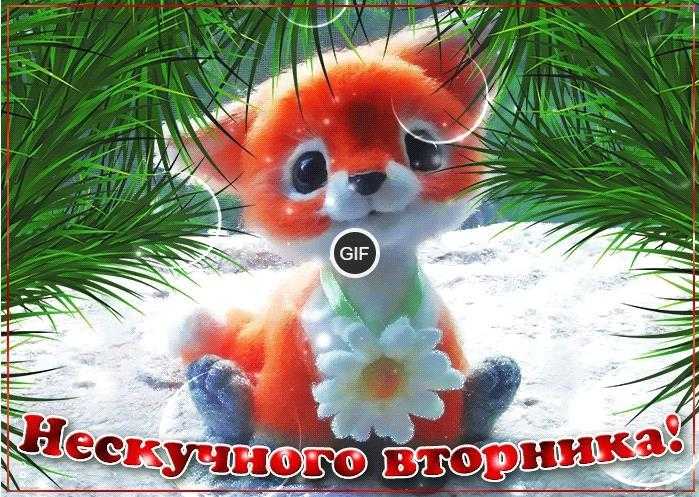 Гифки вторник прикольные