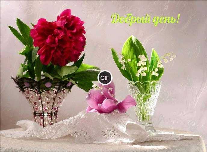 Анимашки с добрым днем