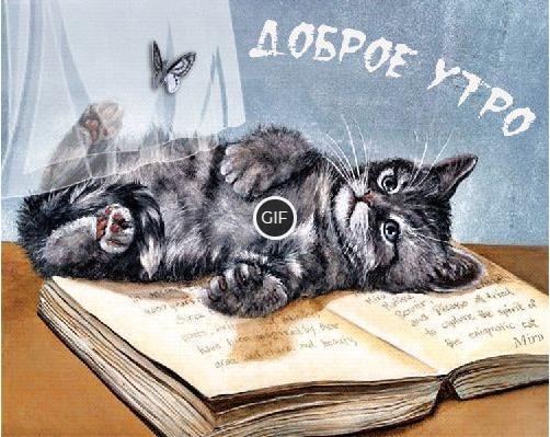 С добрым утром и хорошим днём