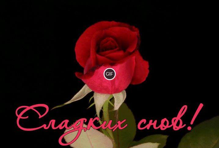 Анимационные картинки спокойной ночи сладких снов