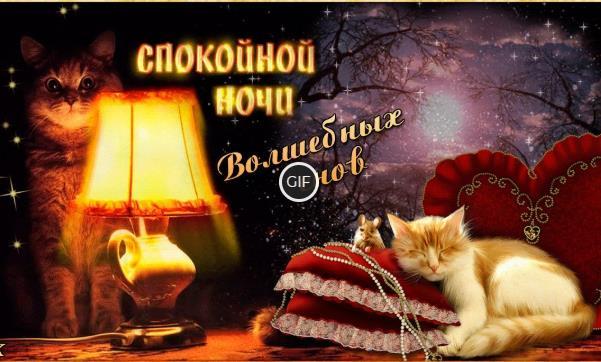 Спокойной ночи прикольные картинки гифки