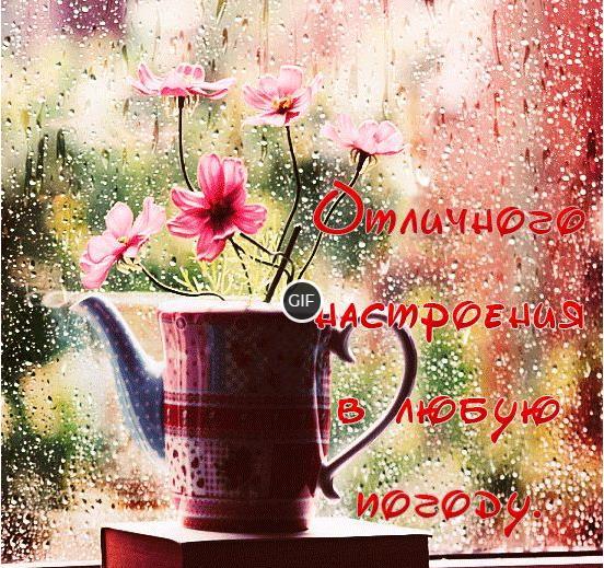 Гифки прекрасного дня и хорошего настроения