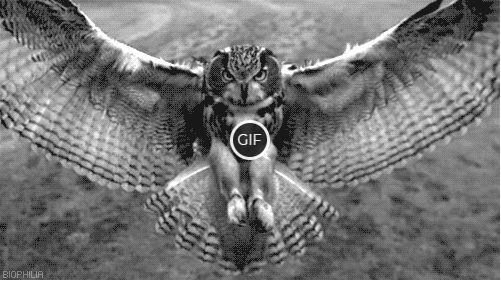 Гифки природа с анимацией