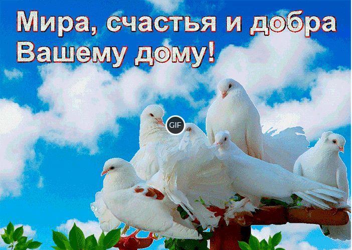 Гифки счастья вам и вашей семье