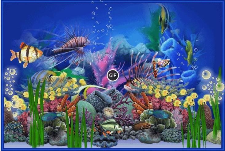 Картинки gif анимация аквариум рыбки