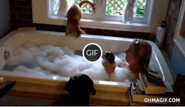 Гифки с котами смешные