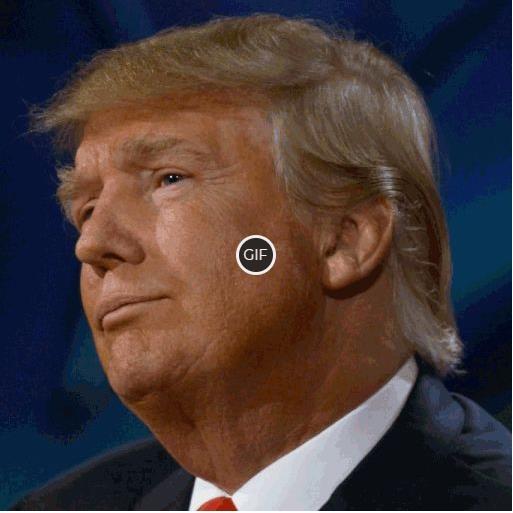 Гифки с Дональдом Трампом