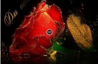 Гифки живые мерцающие супер картинки цветы о любви