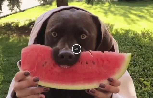 Самые Угарные гифки