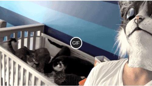 Самые прикольные гифки