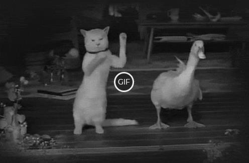 Гифки прикольные танцы