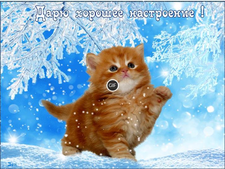 Картинки с пожеланием не грустить от зимы