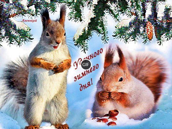 Красивые картинки с зимними пожеланиями