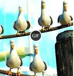 Гифка дай дай дай