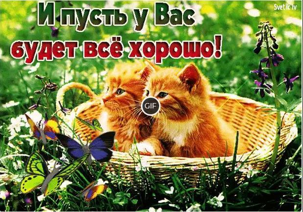 Гифки с красивыми пожеланиями