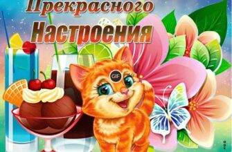 Гифки прекрасного настроения