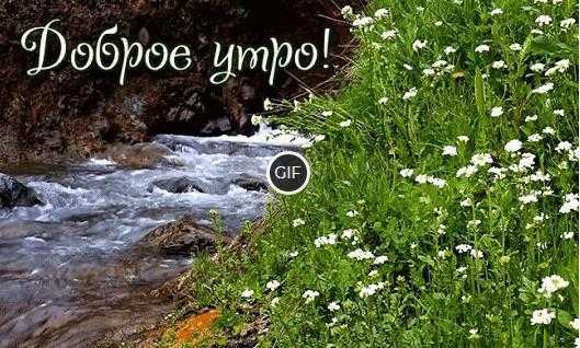 Доброе утро картинки прикольные смешные