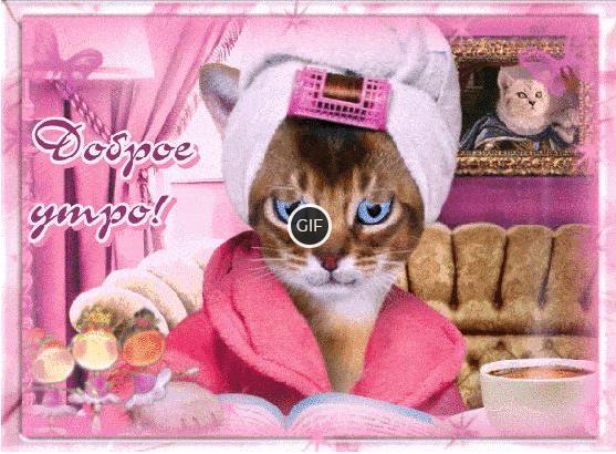 С добрым утром прикольные картинки