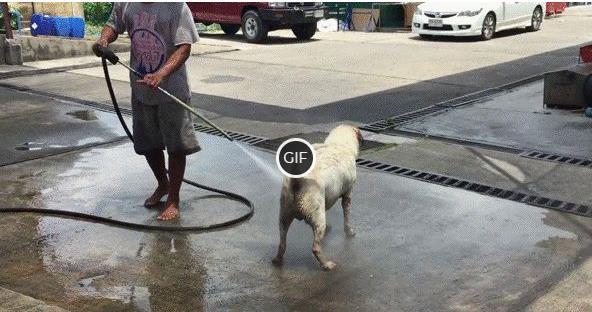 Смешные картинки