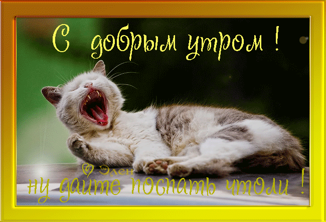 Доброе утро gif прикольные картинки