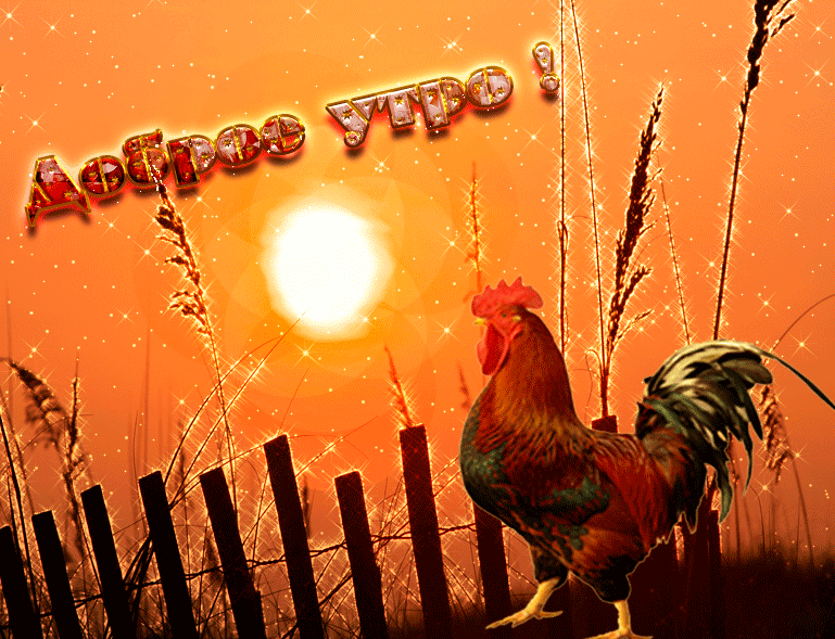 Доброе утро gif прикольные картинки