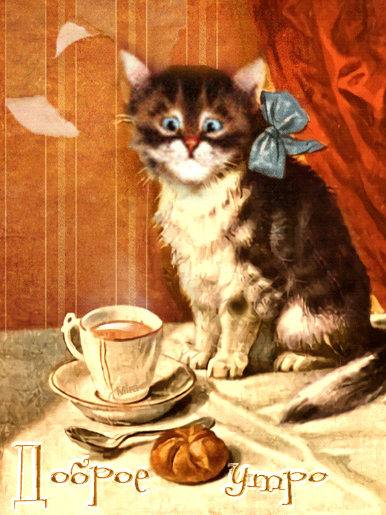 Доброе утро gif прикольные картинки