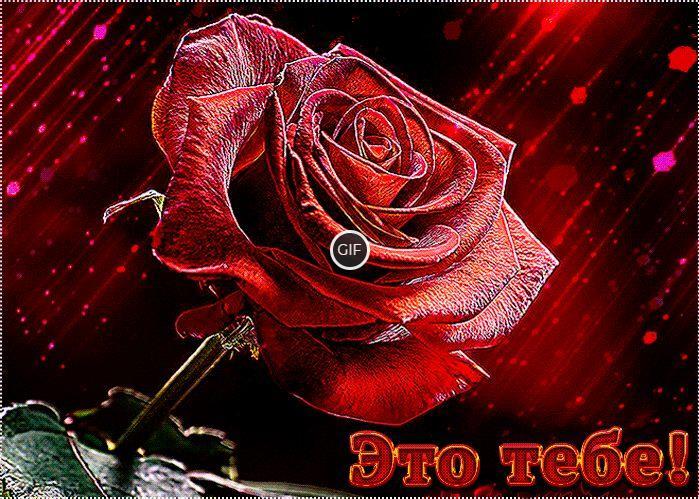 Гифки с розами