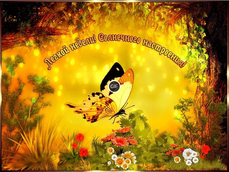 Картинки солнечного настроения