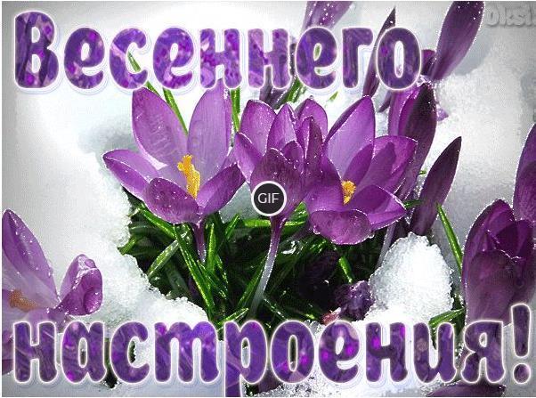 Гифки весеннего настроения и хорошего дня