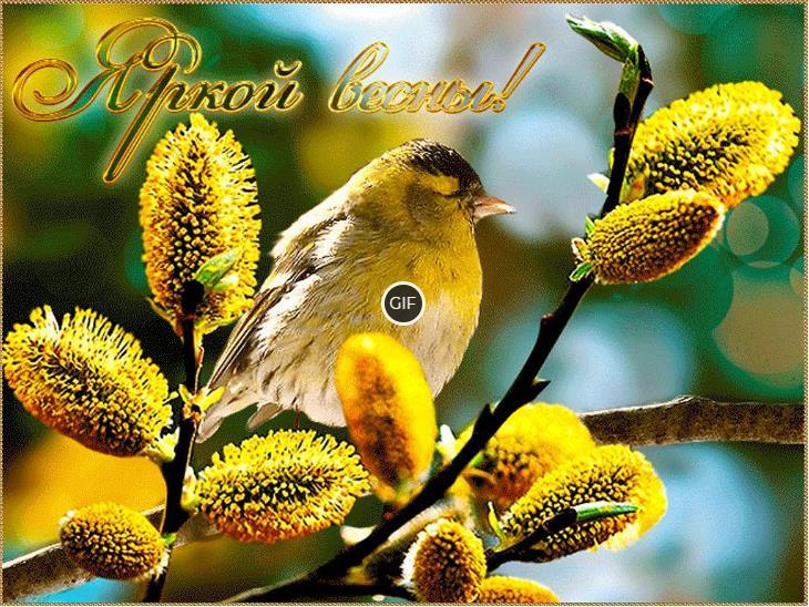Добрый день гифки очень красивые Весенние