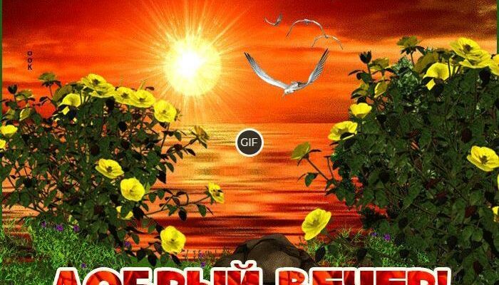 Доброго весеннего вечера гифки