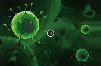 Гифка Короновирус