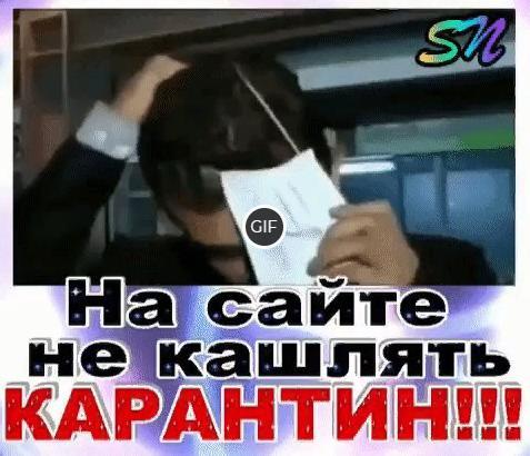 Гифки на карантине