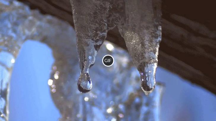 Гифка апрельская капель