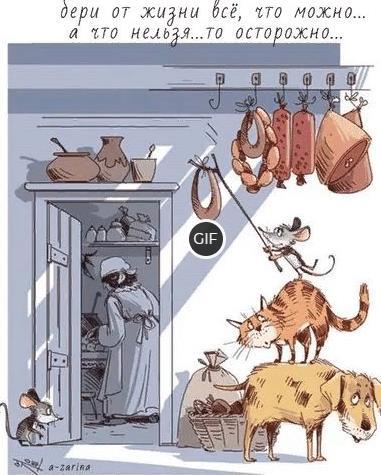 Гифка бери от жизни все
