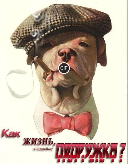 Гифка как жизнь подружка ?