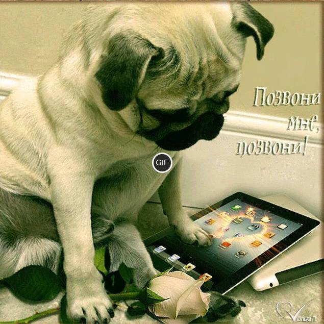 Гифка позвони мне позвони