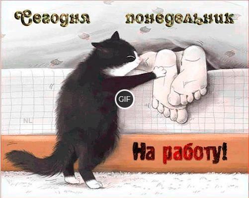 Юмор про работу в картинках