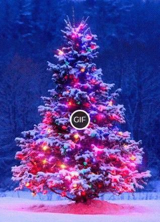 Гифка с красивой новогодней Ёлкой