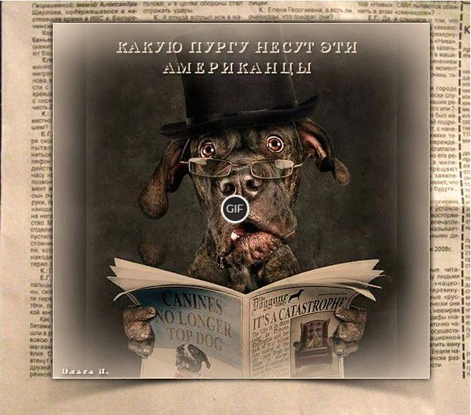 Юморные картинки