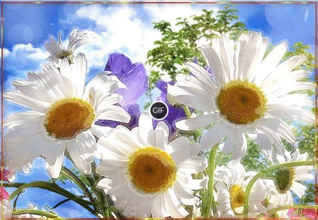 Гифка Пусть исполняются мечты