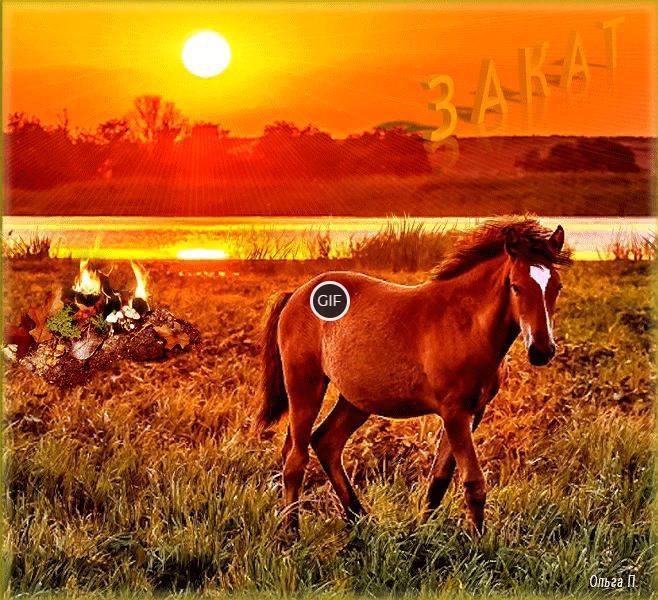 Красивые гифки природа