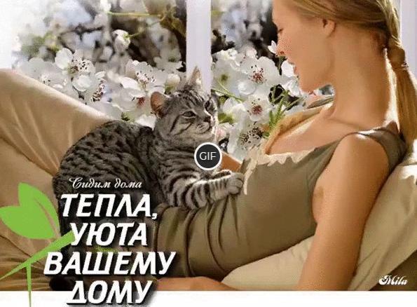 Гифка Сидим дома Тепла, Уюта вашему дому