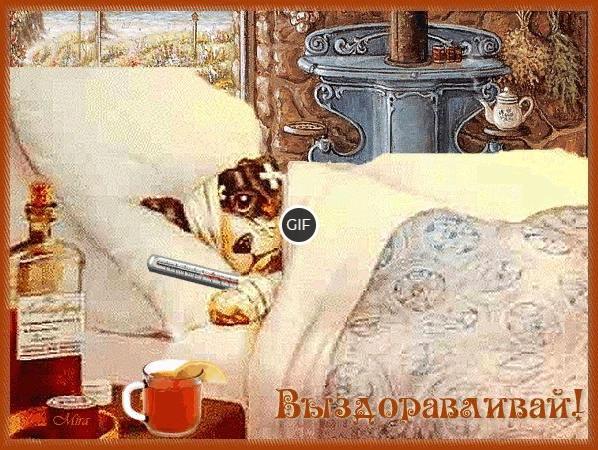 Гиф открытка Выздоравливай
