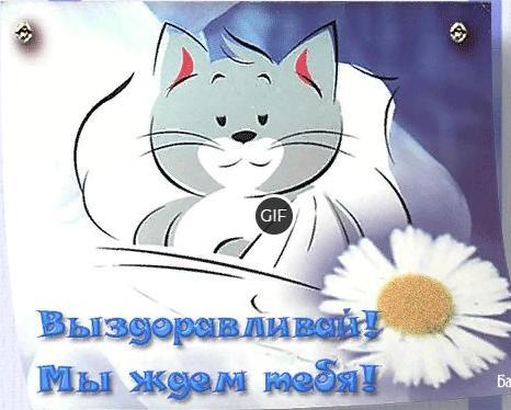 Гиф картинка Выздоравливай