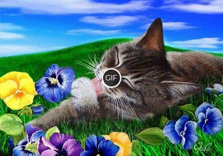 Гифка Добра, тепла и света